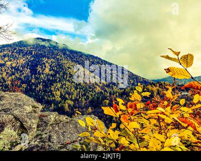 Ein schöner Blick auf den grünen Berg, der unter dem wolkigen blauen Himmel glänzt Stockfoto