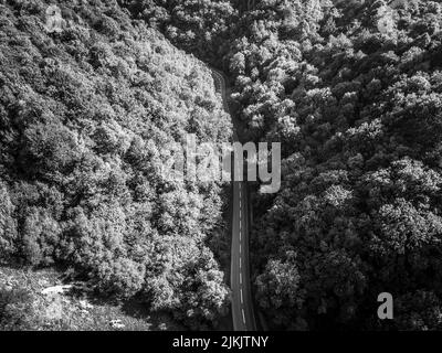 Ein Blick aus der Vogelperspektive auf die kurvenreiche Straße durch Wald und Berge. Schwarzweiß-Bild Stockfoto