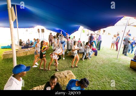 Johannesburg, Südafrika - 11. September 2015: Vielfältige junge Menschen im Biergarten im Freien Stockfoto