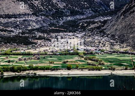 Eine wunderschöne Aussicht auf die wilden Pfirsichblütenfelder am See in der chinesischen Präfektur Nyingchi, Autonome Region Tibet, China Stockfoto