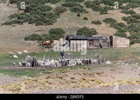 Landhaus neben dem Corral de chivas. Sommer in den Anden. Stockfoto