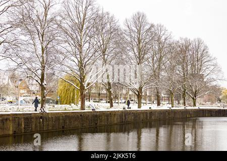 Reflektierende Bäume im Leidsche Rijn Kanal, bedeckt mit Schnee und kargen Ästen im Winter Stockfoto