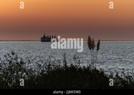 Großes Frachtschiff bei einem tieforangefarbenen Sonnenuntergang am Uruguay River, Colonia, Uruguay. Auf dem Hintergrund des Bildes sind einige Schilf zu sehen. Das Bild hat la Stockfoto