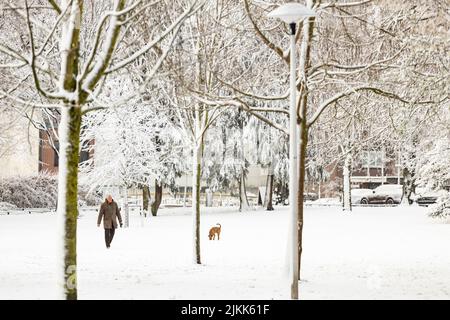 Mann und Hund gehen durch verschneiten Park mit grafisch umrissenen Ästen. Stockfoto