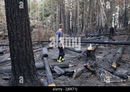 Schmilka, Deutschland. 02. August 2022. Ein Feuerwehrmann untersucht die Brandschäden im Kerngebiet des Nationalparks Sächsische Schweiz am Großen Winterberg im deutsch-tschechischen Grenzgebiet. Quelle: Sebastian Kahnert/dpa/Alamy Live News Stockfoto