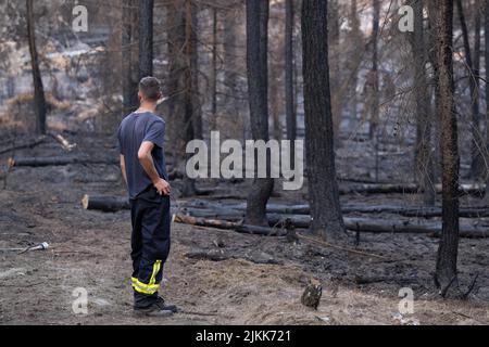 Schmilka, Deutschland. 02. August 2022. Ein Feuerwehrmann untersucht die Brandschäden im Kerngebiet des Nationalparks Sächsische Schweiz am Großen Winterberg im deutsch-tschechischen Grenzgebiet. Quelle: Sebastian Kahnert/dpa/Alamy Live News Stockfoto