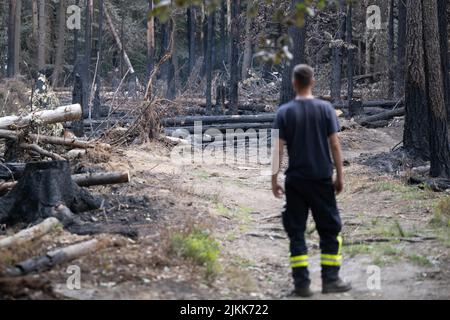 Schmilka, Deutschland. 02. August 2022. Ein Feuerwehrmann untersucht die Brandschäden im Kerngebiet des Nationalparks Sächsische Schweiz am Großen Winterberg im deutsch-tschechischen Grenzgebiet. Quelle: Sebastian Kahnert/dpa/Alamy Live News Stockfoto