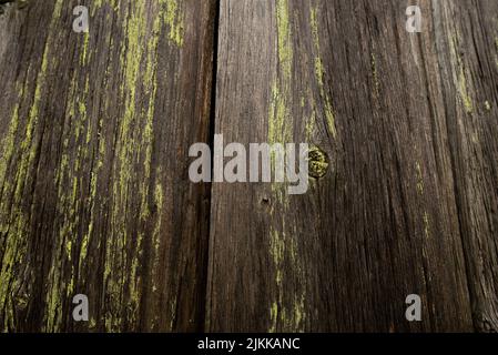 Eine alte Holzstruktur Stockfoto