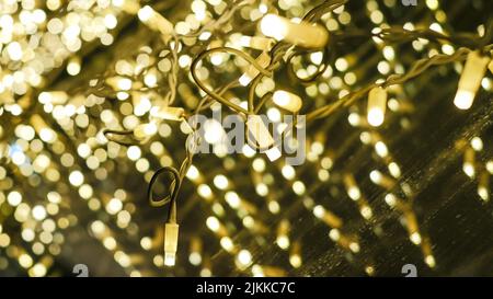 Glänzende Weihnachtslichter am Abend in Köln auf einem Schaufenster Stockfoto