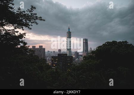 Ein malerischer Blick auf das Taipei 101 Observatorium gegen grüne Bäume in Taiwan an einem düsteren Tag Stockfoto