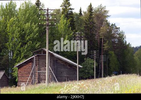 Alte Holzställe. Wildblumen, Wiesen und Telefonleitungen. Wälder im Hintergrund. Ländliche Umgebung. Stockfoto