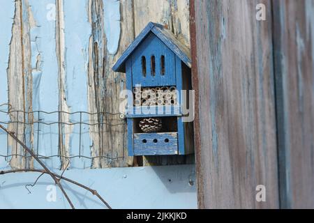 Eine Nahaufnahme eines blauen Insektenhauses aus Holz hing an einer strukturierten Holzwand Stockfoto