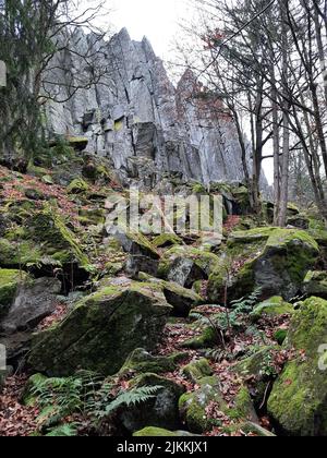 Eine vertikale Aufnahme von moosigen Felsen und Bäumen auf dem Berg Steinwand in Hessen Stockfoto