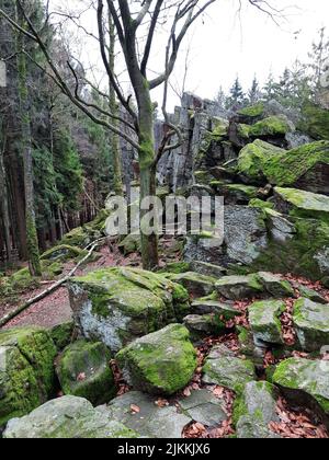 Eine vertikale Aufnahme von moosigen Felsen und buschigen Bäumen auf dem Berg Steinwand in Hessen Stockfoto