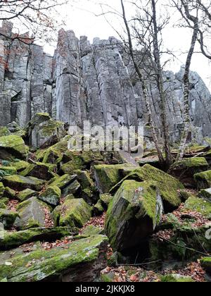 Eine vertikale Aufnahme von moosigen Felsen und Bäumen auf dem Berg Steinwand in Hessen Stockfoto