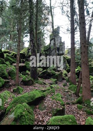 Eine vertikale Aufnahme von moosigen Felsen und buschigen Bäumen auf dem Berg Steinwand in Hessen Stockfoto