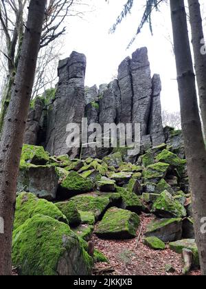 Eine vertikale Aufnahme von moosigen Felsen und Bäumen auf dem Berg Steinwand in Hessen Stockfoto