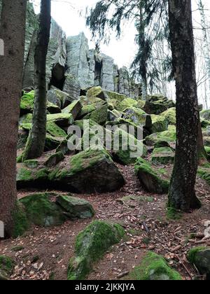 Eine vertikale Aufnahme von moosigen Felsen und Bäumen auf dem Berg Steinwand in Hessen Stockfoto