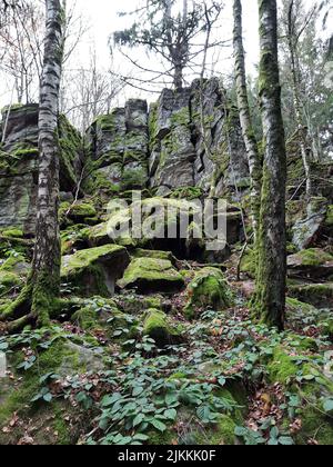 Eine vertikale Aufnahme von moosigen Felsen und Bäumen auf dem Berg Steinwand in Hessen Stockfoto