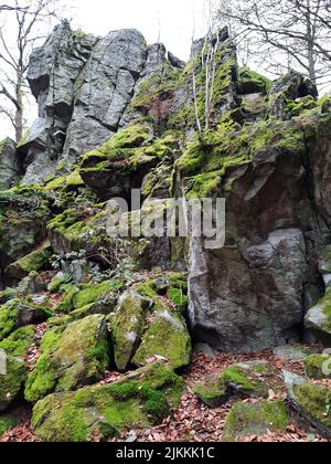 Eine vertikale Aufnahme von moosigen Felsen und Bäumen auf dem Berg Steinwand in Hessen Stockfoto