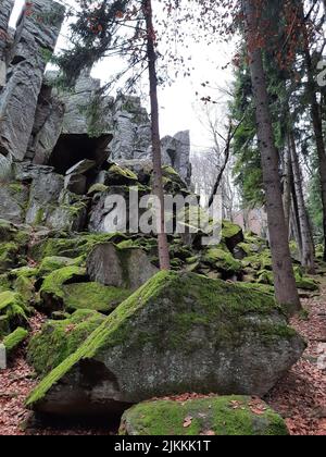 Eine vertikale Aufnahme von moosigen Felsen und Bäumen auf dem Berg Steinwand in Hessen Stockfoto