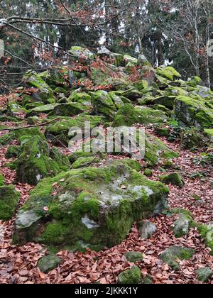 Eine vertikale Aufnahme von moosigen Felsen unter herbstlichen Blättern auf dem Berg Steinwand in Hessen Stockfoto