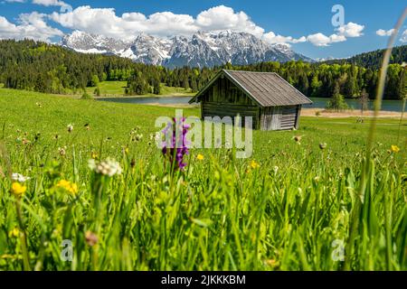 Bergsee Geroldsee Wagenbrüchsee, im Hintergrund mit Blick auf die Berge Alpspitz, Karwendel und Zugspitz, Garmisch-Partenkirchen, Bayern in Deutschlan Stockfoto