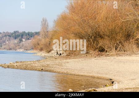 Novi Sad, Serbien. März - 16. 2022. Wanderer an einem sonnigen Frühlingstag am Ufer der Donau. Stockfoto
