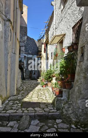 Eine schmale Straße zwischen alten Häusern im mittelalterlichen Dorf Pietramelara in der Provinz Caserta, Italien. Stockfoto