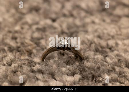 Eine Makroaufnahme eines glänzenden Ringes mit einem Diamanten auf einer flauschigen Oberfläche mit einem unscharfen Hintergrund Stockfoto
