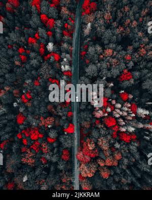 Eine geradlinige Drohne schoss auf ein Auto mitten auf einer Straße auf einer rot-grauen Waldautobahn Stockfoto
