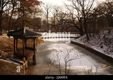 Ein faszinierender Blick auf die herbstlichen Bäume und Pflanzen mit nassem Pfad im Secret Garden, Seoul, Südkorea Stockfoto