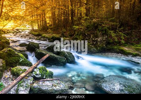 Eine wunderschöne Aufnahme eines Wasserfall in einem Herbstwald in Chartreuse, Frankreich Stockfoto