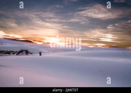 Eine Luftaufnahme eines wunderschönen Waldes im Winter im White Sands National Park, USA Stockfoto