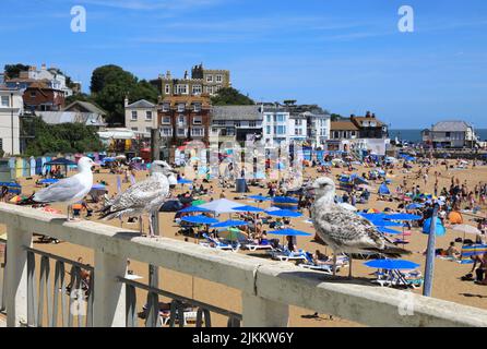 Schöner Viking Bay Strand in Broadstairs auf der Isle of Thanet, in Kent, Großbritannien Stockfoto