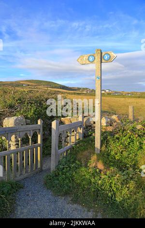 Anglesey Coastal Path und Wales Coast Path Fingerpost in Church Bay, Porth Swtan, Isle of Anglesey, North Wales, Großbritannien. Stockfoto