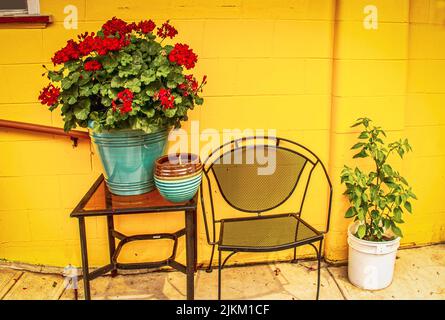 Leuchtend rote Geranie und andere Pflanzen sowie Metallmöbel auf der Terrasse vor einer hellgelben Betonblockwand. Stockfoto