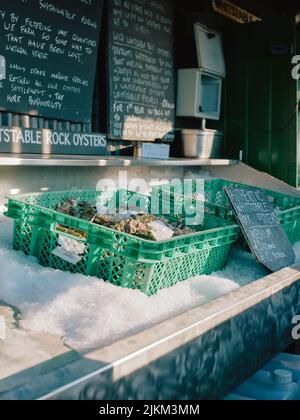 Frische lokale Austern auf Eis bereit zum Essen an der Küste im Whitstable Kent England UK - Whitstable Austern lokale Produkte Stand Stockfoto