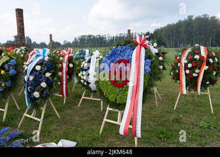 Brzezinka, Polen. 02. August 2022. Kränze und Blumen lagen im ehemaligen Lager Auschwitz II Birkenau auf dem Gras. Tag des Gedenkens an den Völkermord an Roma und Sinti. Vor 78 Jahren, in der Nacht vom 2. Auf den 3. August 1944, liquidierten die Deutschen das Zigeunerfamilienlager im KL Auschwitz II Birkenau. Der Jahrestag wurde im ehemaligen Lager Auschwitz II-Birkenau organisiert. (Foto von Wojciech Grabowski/SOPA Images/Sipa USA) Quelle: SIPA USA/Alamy Live News Stockfoto