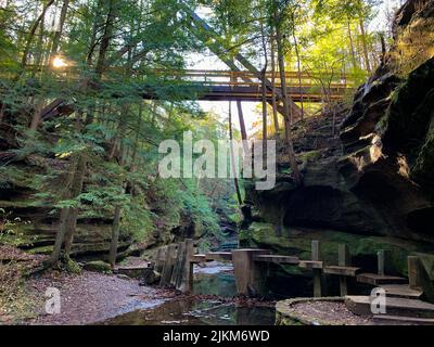 Eine Brücke über den Bach, der zwischen Felsen und dichten Bäumen im moosigen Wald fließt Stockfoto