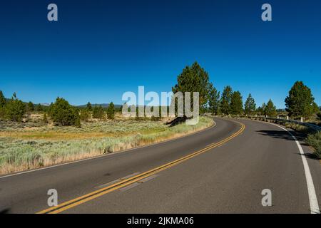 Kiefern in der Sierra Nevada im Norden Kaliforniens säumen eine Biegestraße durch die Wildnis. Stockfoto