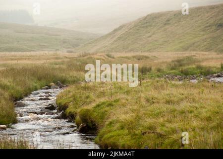 Yorkshire Dales Stockfoto