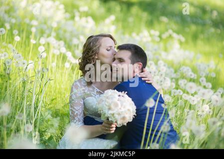 Eine junge Braut küsst ihren Mann auf einer Dandelionenwiese Stockfoto