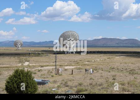 Ein Blick auf die große Anzahl von Radioteleskopen im Feld bei Socorro an einem sonnigen Tag, New Mexico Stockfoto