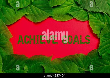 Schild mit der Anzeige Ziele erreichen. Geschäftsansatz ergebnisorientiert Erreichen Ziel effektive Planung Erfolg wichtige Informationen auf Papier Stockfoto