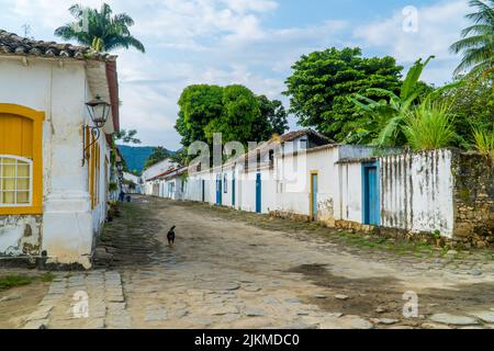 Ein Hund in einer Straße mit kolonialer Architektur in Paraty, Brasilien Stockfoto