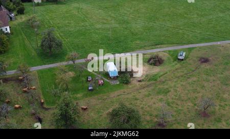 Eine Luftaufnahme von Bäumen und landwirtschaftlichen Feldern auf dem Land Stockfoto