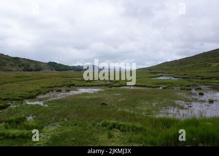 Eine wunderschöne Aussicht auf die grüne Landschaft mit Wasserpfützen unter einem bewölkten Himmel in Schottland Stockfoto