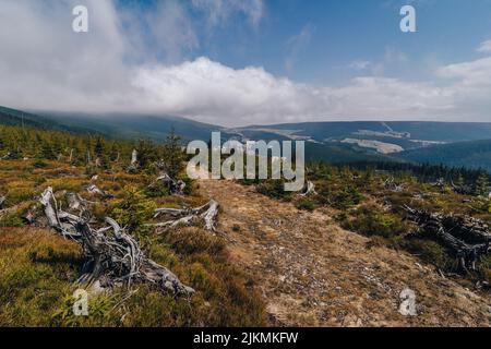Nationalpark Riesengebirge im Frühling. Berglandschaft der Riesengebirgslandschaft, Böhmen. Bergwiesen, Gipfel und Wald des Riesengebirges, Tschechien. Stockfoto