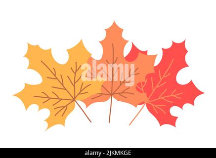 Dreifarbig Ahornblatt. Ahornbaum. Gelb, orange und rot. Natur und Pflanzen. Herbstsaison. Flache Vektorgrafik isoliert auf weißem Hintergrund Stock Vektor